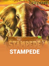 Stampede icon